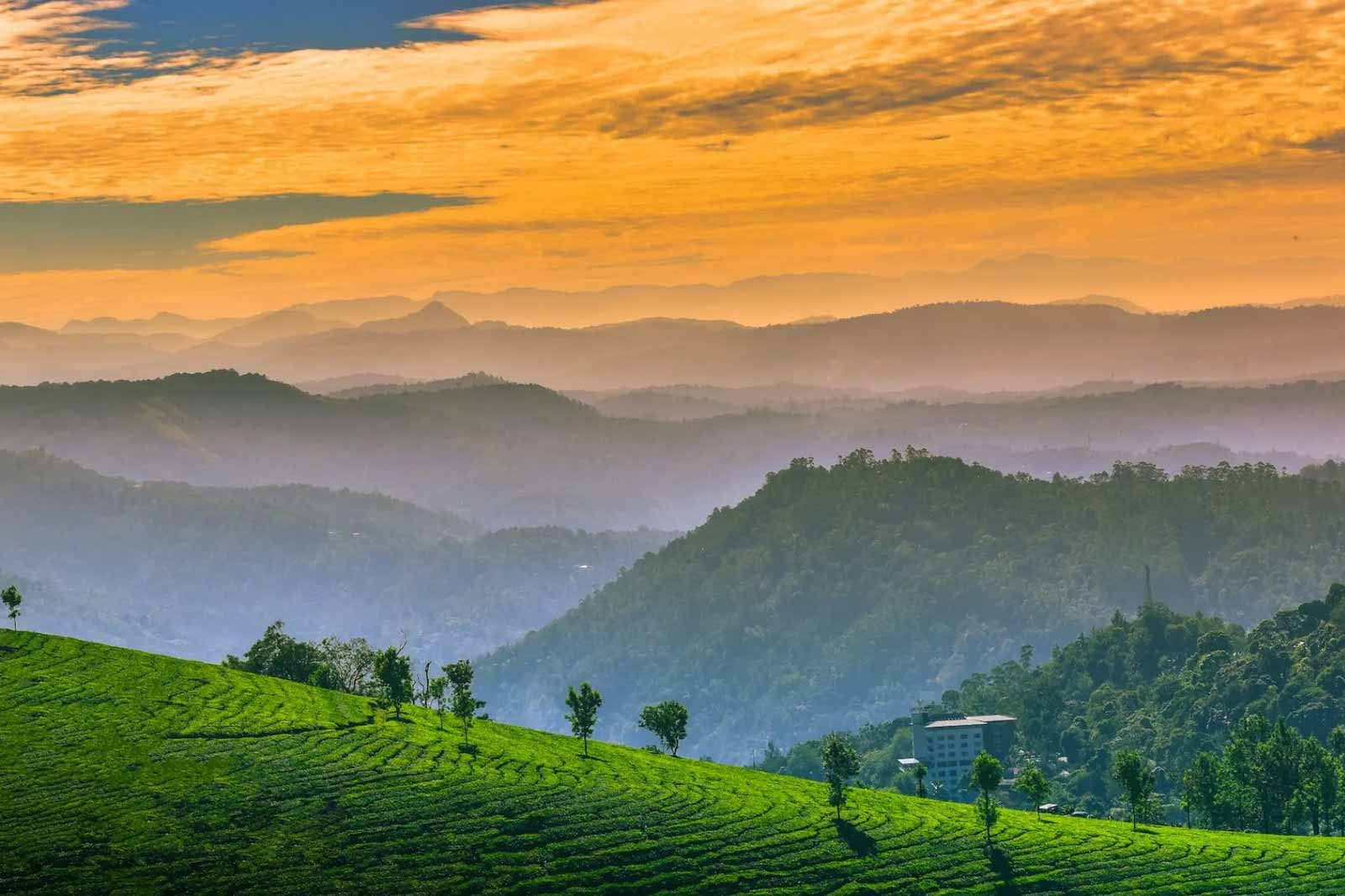 Munnar